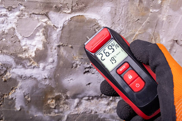Best Attic Mold Remediation in North Cape May, NJ